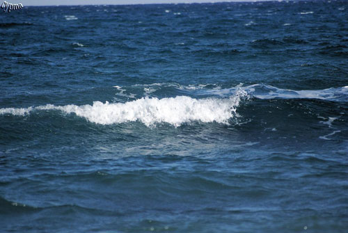 meer