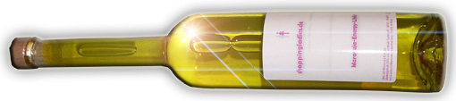 wunschlikoer_flasche