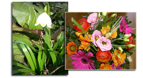 kw11_blumen