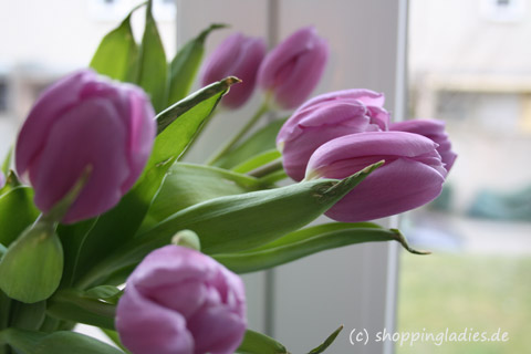 Ostertulpen