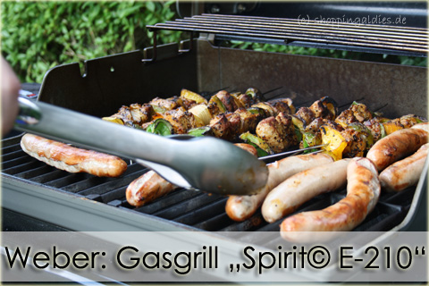 Weber: Gasgrill „Spirit© E-210“