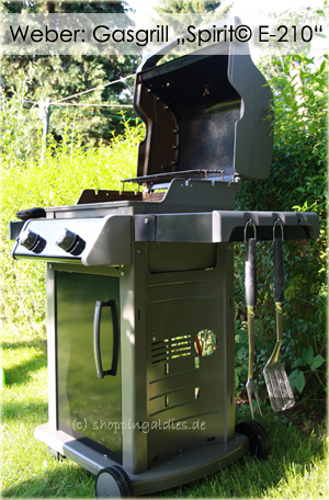 Weber: Gasgrill „Spirit© E-210“