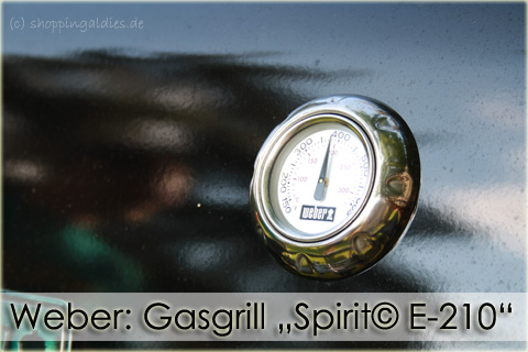 Weber: Gasgrill „Spirit© E-210“